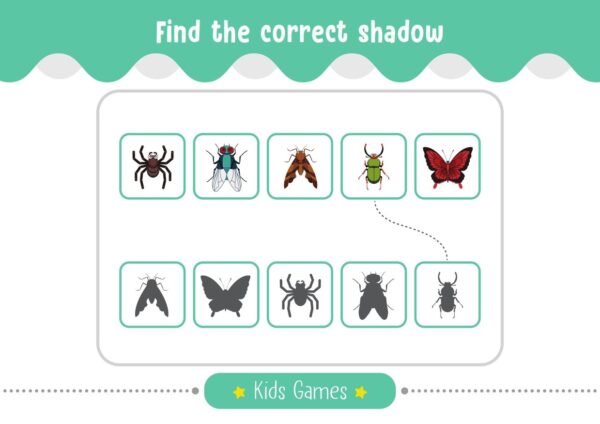 Find the correct shadow 001