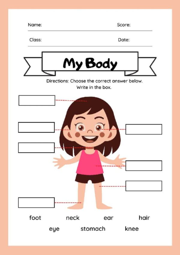 My Body! Fun & Simple Girl Body Parts Worksheet (Free Printable)