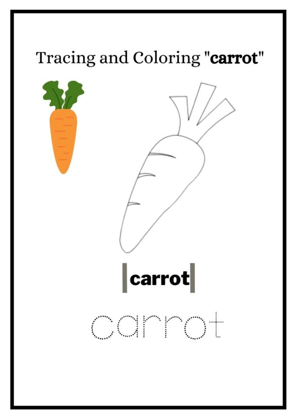 carrot 001 1