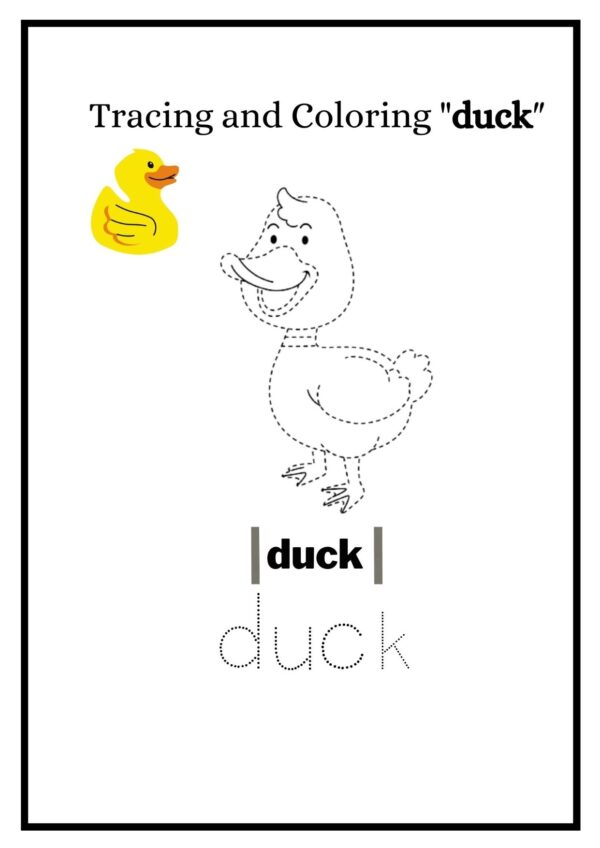 duck 001 1