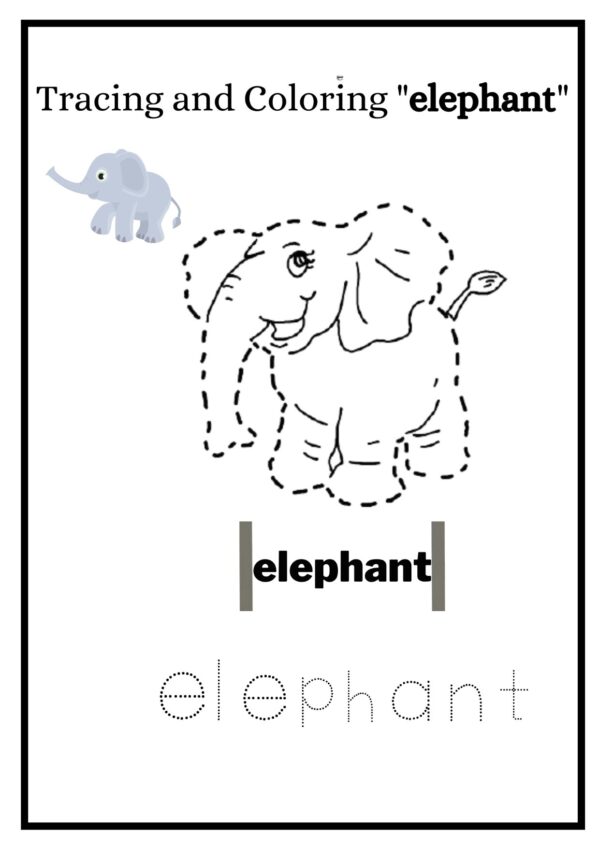 elephant 001 1