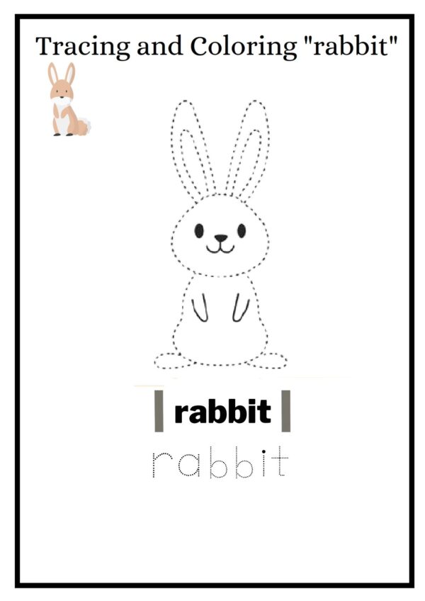 rabbit 001 1