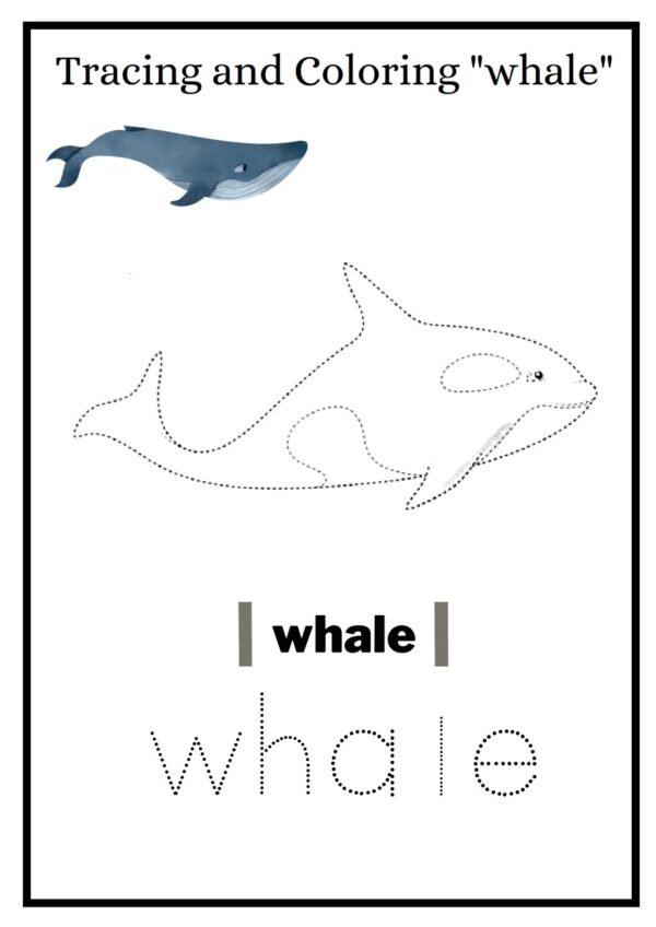 whale 001 1